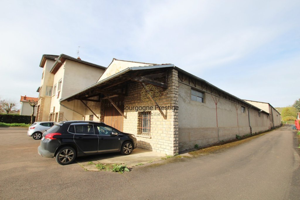 LOCAL D ACTIVITE A VENDRE - SENNECEY LE GRAND - 2440 m2 - 620 000 &euro;