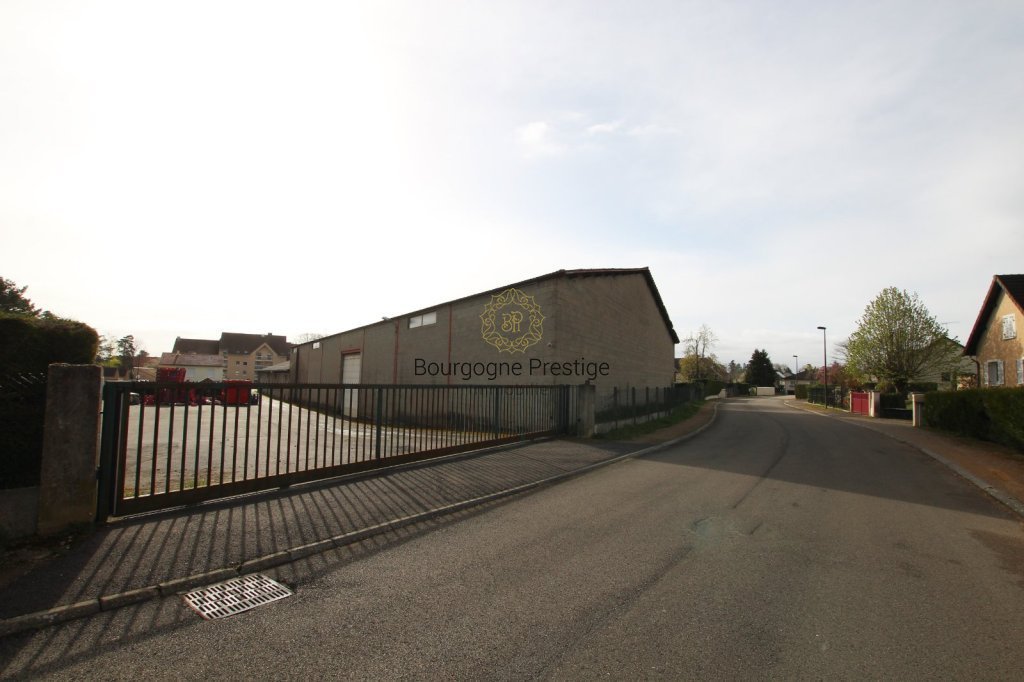 LOCAL D ACTIVITE A VENDRE - SENNECEY LE GRAND - 2440 m2 - 620 000 &euro;