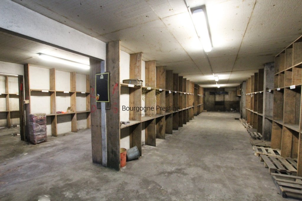 LOCAL D ACTIVITE A VENDRE - SENNECEY LE GRAND - 2440 m2 - 620 000 &euro;