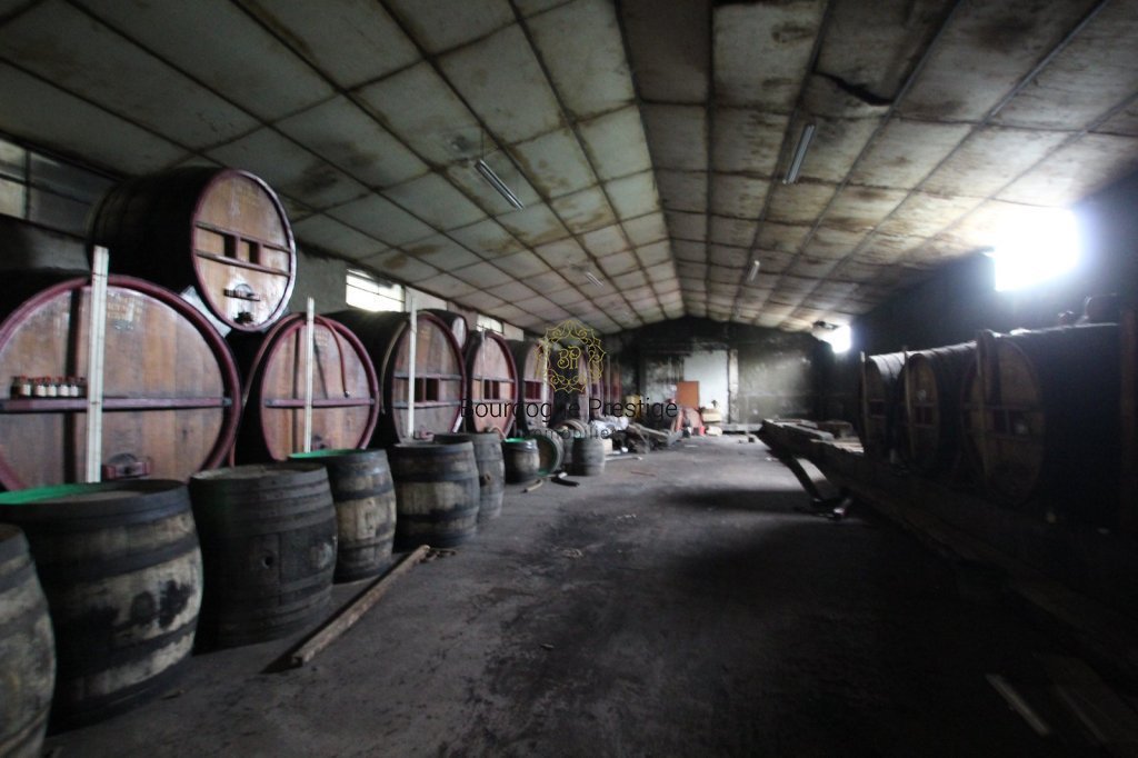 LOCAL D ACTIVITE A VENDRE - SENNECEY LE GRAND - 2440 m2 - 620 000 &euro;