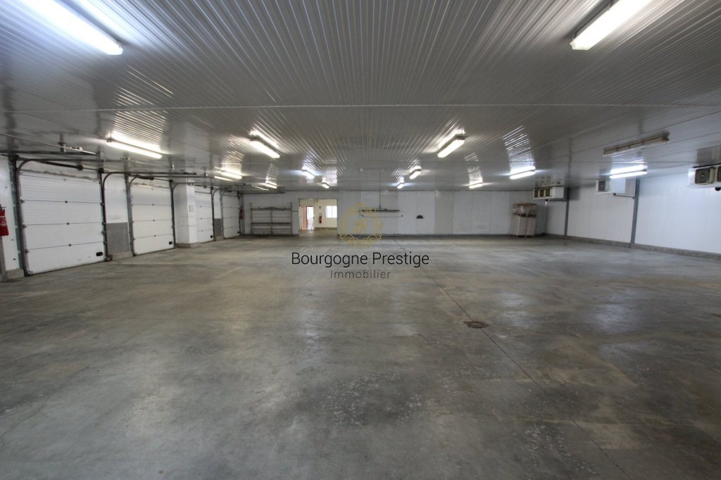 LOCAL INDUSTRIEL A VENDRE - CUISERY - 922 m2 - 460 000 &euro; 
