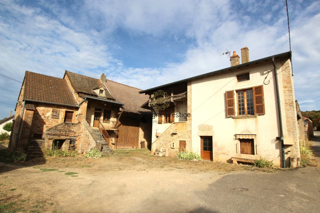 PROPRIETE A VENDRE - SENNECEY LE GRAND - 585 m2 - 226 000 &euro;