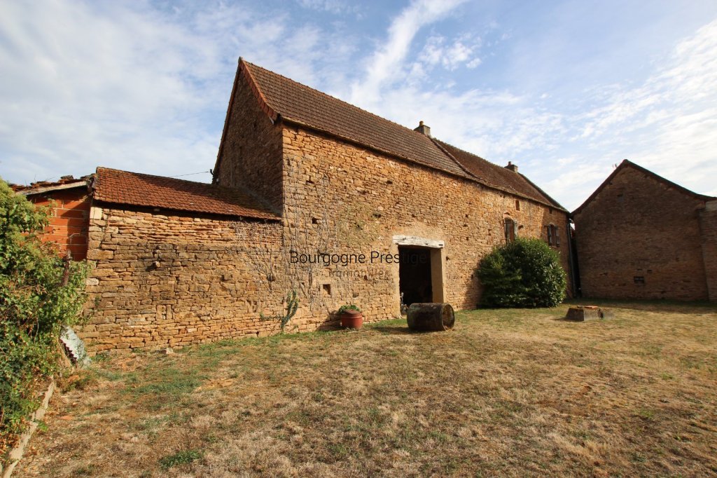 PROPRIETE A VENDRE - SENNECEY LE GRAND - 585 m2 - 226 000 &euro;