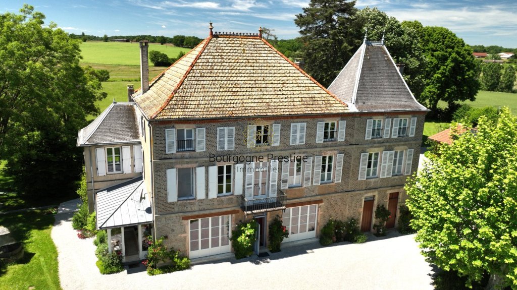 PROPRIETE A VENDRE - LOUHANS - 450 m2 - 970 000 &euro;