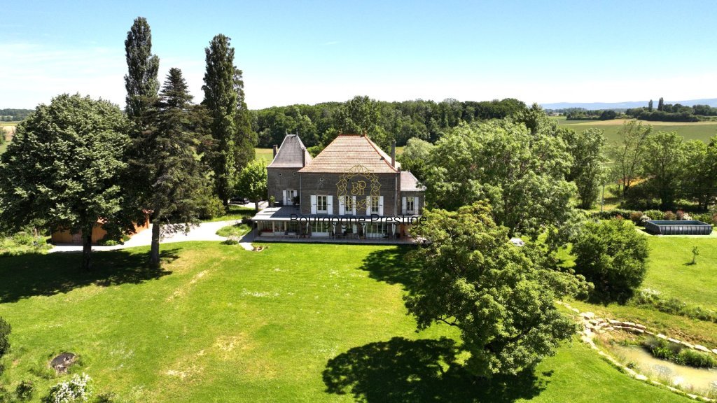 PROPRIETE A VENDRE - LOUHANS - 450 m2 - 970 000 &euro;