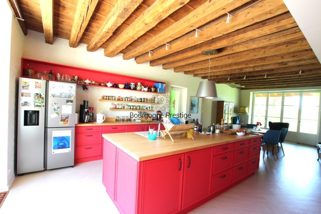 PROPRIETE A VENDRE - LOUHANS - 450 m2 - 970 000 &euro;