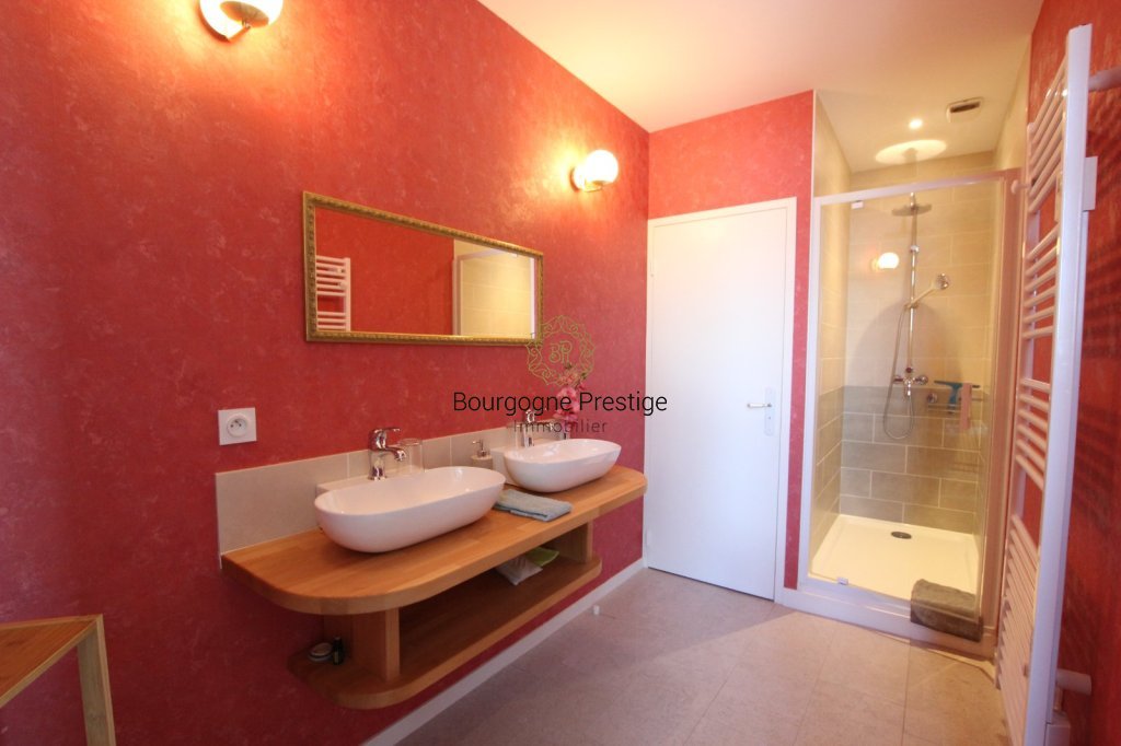PROPRIETE A VENDRE - LOUHANS - 450 m2 - 970 000 &euro;