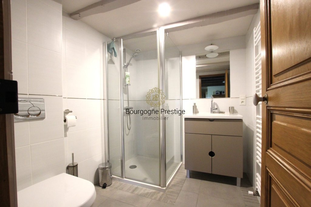 PROPRIETE A VENDRE - SENNECEY LE GRAND - 263 m2 - 499 000 &euro;