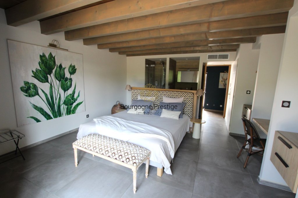 PROPRIETE A VENDRE - TOURNUS - 338 m2 - 845 000 &euro;