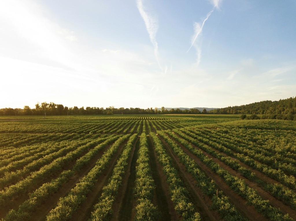 Votre agence immobili�re � Louhans pour tous vos projets