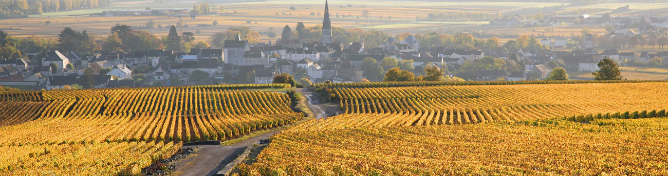 MEURSAULT