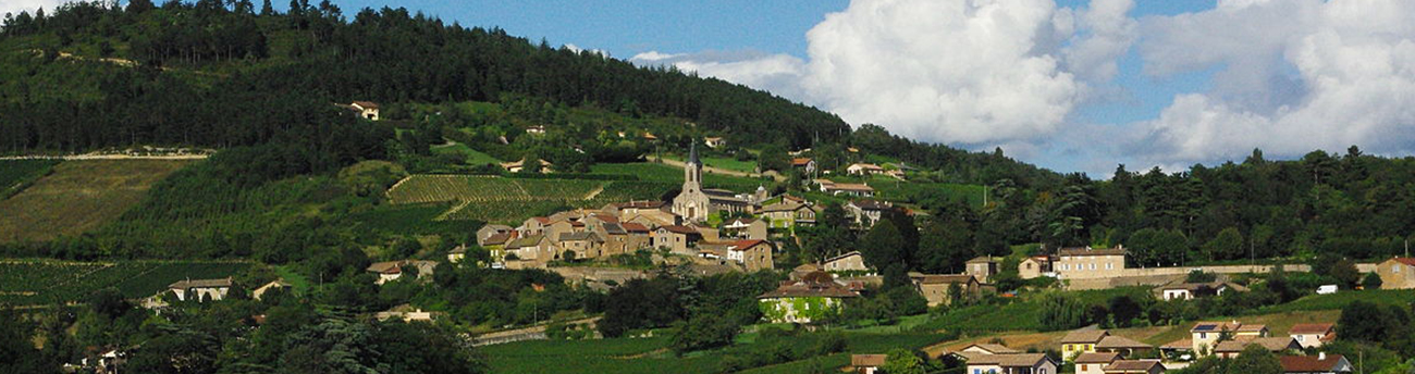 LA ROCHE VINEUSE